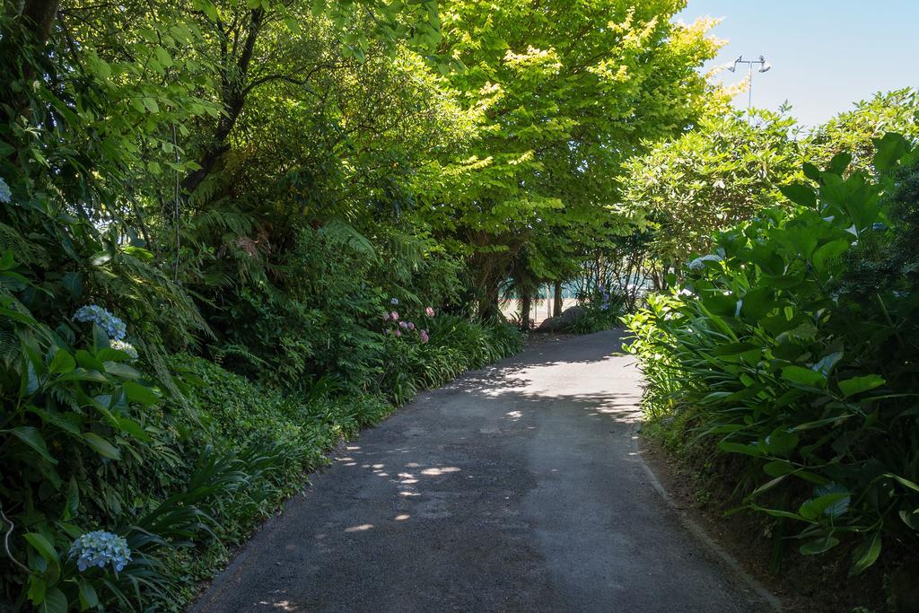 The Flying Trout Boutique Lodge Taupo Kültér fotó